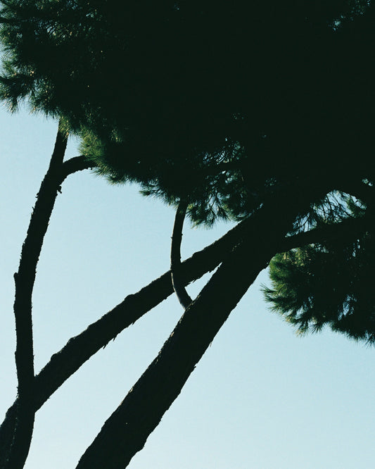 エル プラット デ ジョブレガット、バルセロナ、スペイン