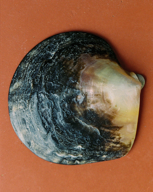 サ・トゥナ、ジローナ、スペイン