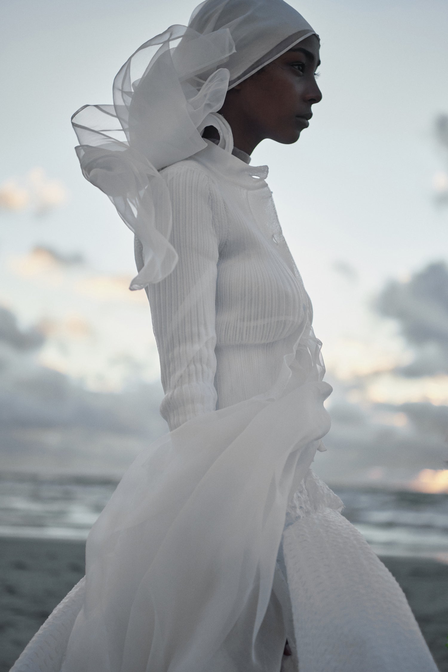 Cecilie Bahnsen SS21 – HEREU JAPAN Official Online Store